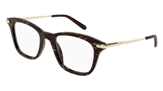 Brioni Optical Frame Man Havana Gold Transparent