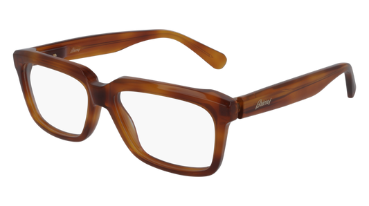 Brioni Optical Frame Man Havana Havana Transparent