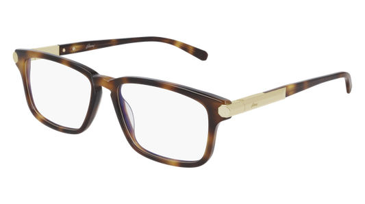 Brioni Optical Frame Man Havana Havana Transparent